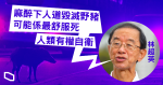 【捕殺野豬】林超英：麻醉下人道毀滅野豬　可能係最舒服死法　人類有權自衞