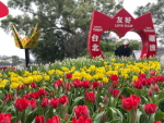 228天氣晴爆出遊潮　北市5景點亮紅燈擠爆！動物園、陽明山停車場已滿