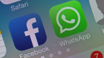 La nouvelle politique de confidentialité de WhatsApp | surveillance a interdit à Facebook de collecter des profils d’utilisateurs WhatsApp, affirmant que les nouvelles dispositions relatives à la protection de la vie privée violent la législation de l’UE