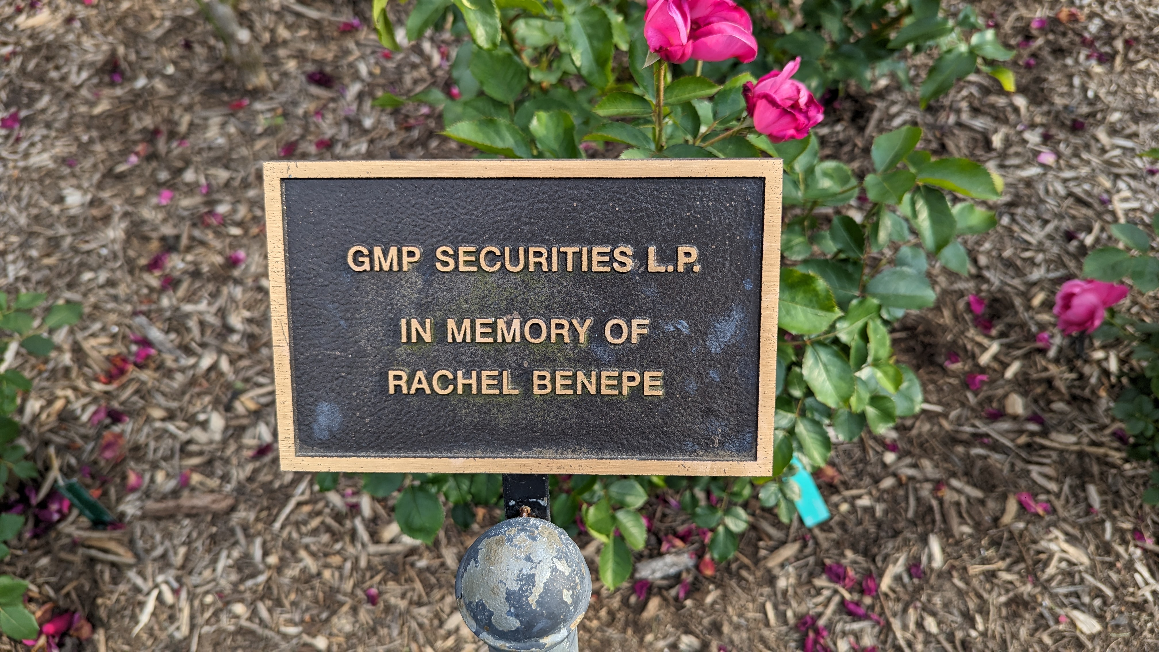 GMP SECURITIES L.P. IN MEMORY OF RACHEL BΕΝΕΡΕ