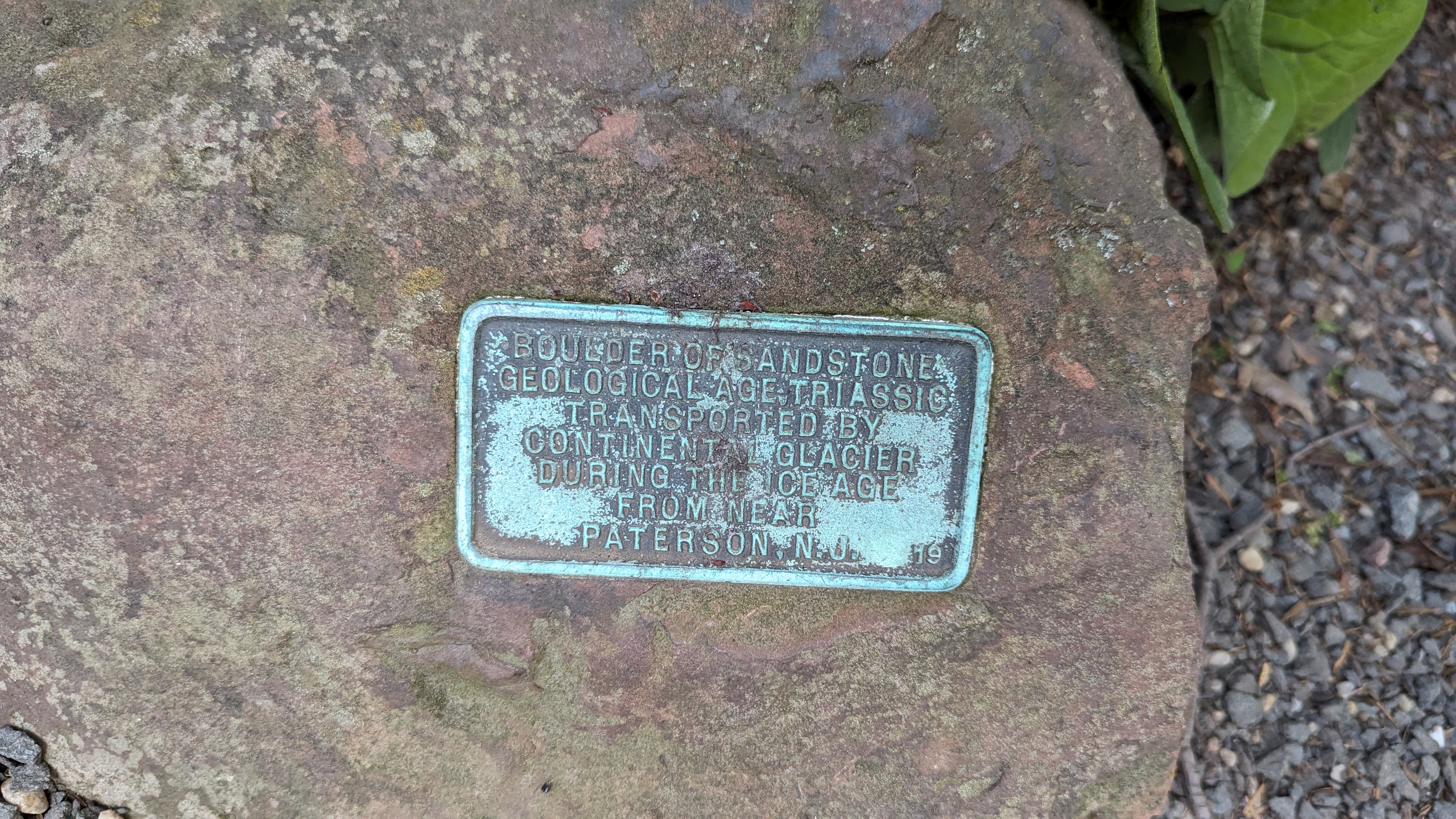 BOULDER OF SANDSTONE GEOLOGICAL AGE TRIASSIC TRANSPORTED BY CONTINENTAL GLACIER DURING THE ICE AGE FROM NEAR PATERSON NJ 19