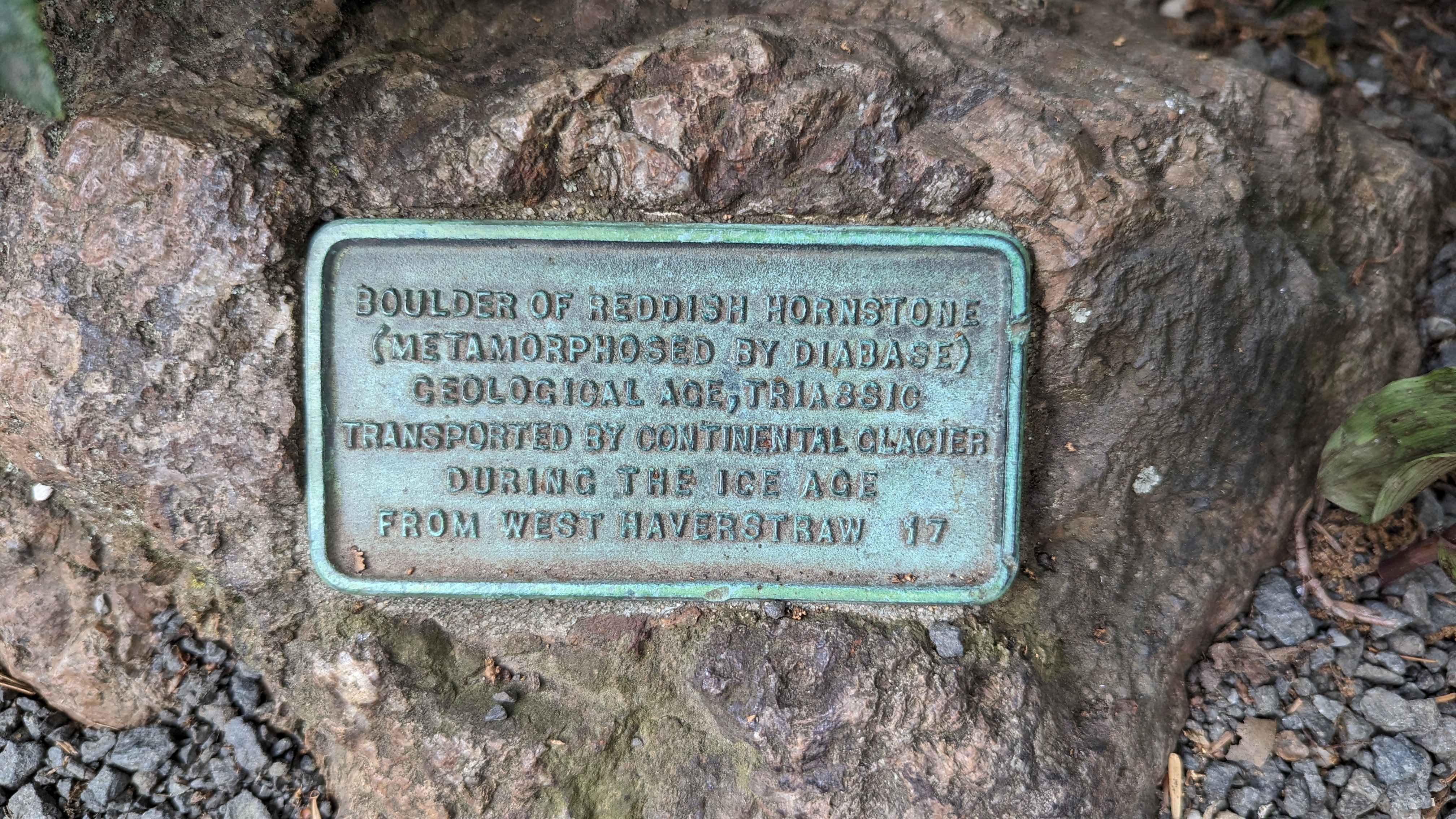 BOULDER OF REDDISH HORNSTONE (METAMORPHOSED BY DIABASE) GEOLOGICAL AGE, TRIASSIC TRANSPORTED BY CONTINENTAL GLACIER DURING THE ICE AGE FROM WEST HAVERSTRAW 17 Submitted by @lampbane