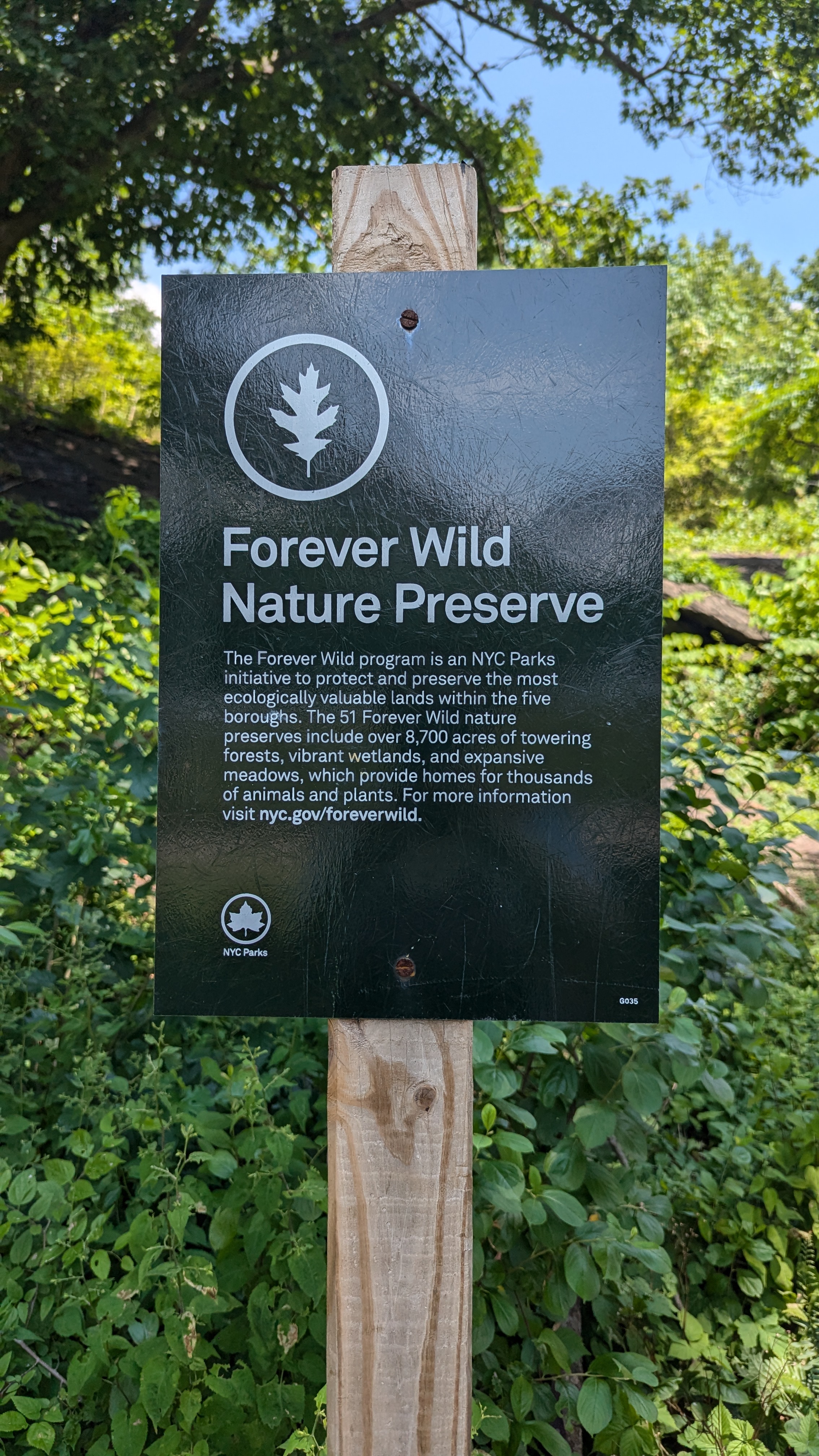 The Forever Wild program is an NYC Parks initiative to protect and preserve the most ecologically valuable lands within the five boroughs. The 51 Forever Wild nature preserves include over 8,700...