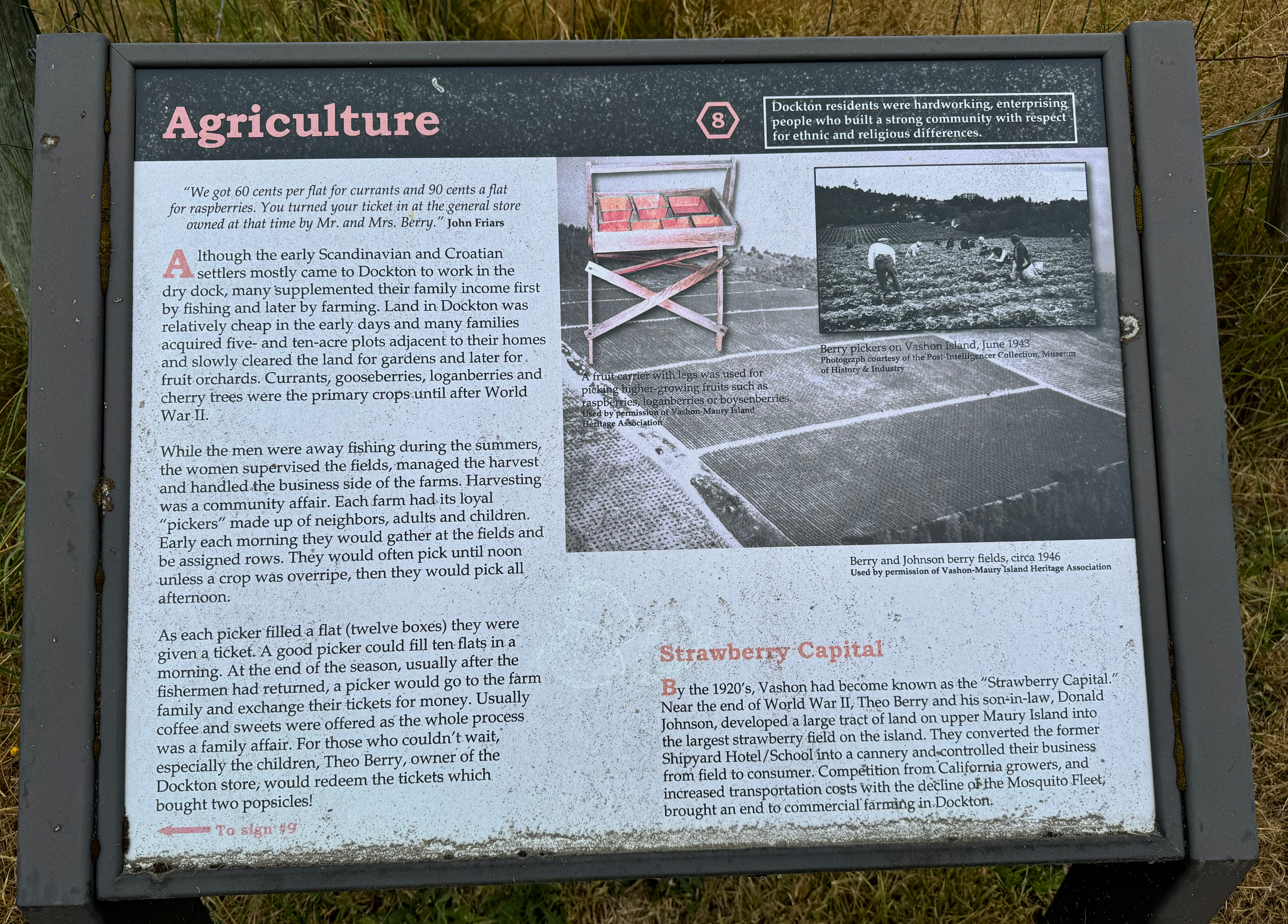 "We got 60 cents per flat for currants and U cents a flat for raspberries. You turned your ticket in at the general store owned at that time by Mr. and Mrs. Berry." - John Friars AGRICULTURE [8]...