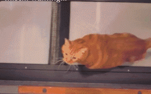 3.gif