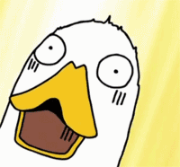 timg (2).gif