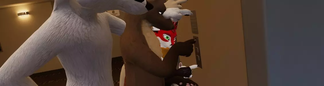 Banner for the page