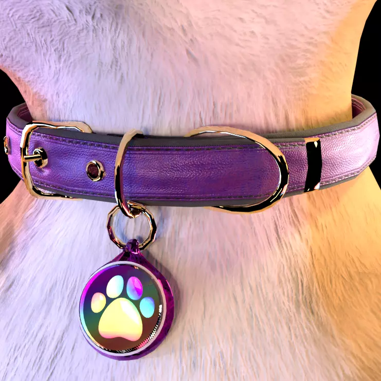 RBG Dog/cat Collar And/or Leash 