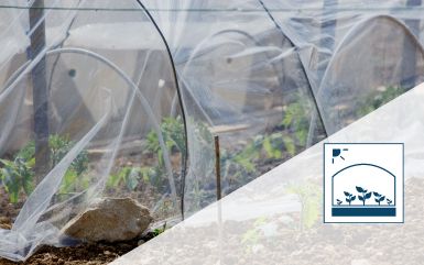 TRANSPARENT GREENHOUSE COVERS