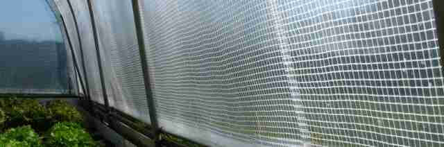 Bâche de serre transparente armée 6 x 10m – ToutPositif