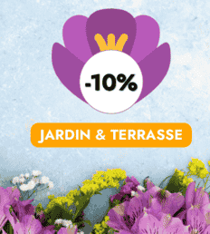 banniere-bon-plan-promo-printemps