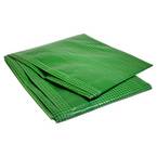 Verf dekzeil 3 x 4 m - TECPLAST 170PE - Groen versterkt dekzeil - Hoge kwaliteit - Beschermend dekzeil voor vloeren en meubilair