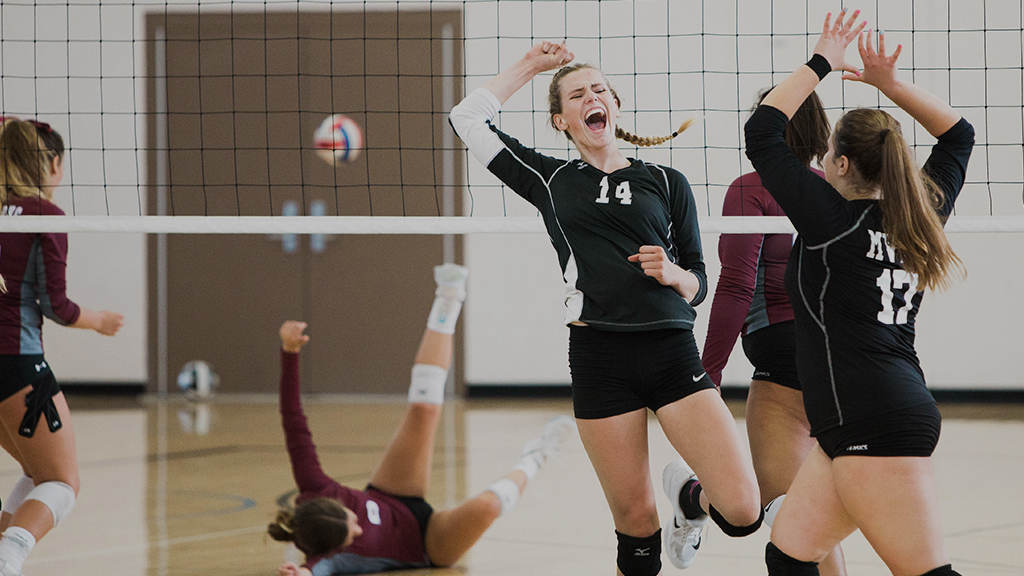 Volleyball