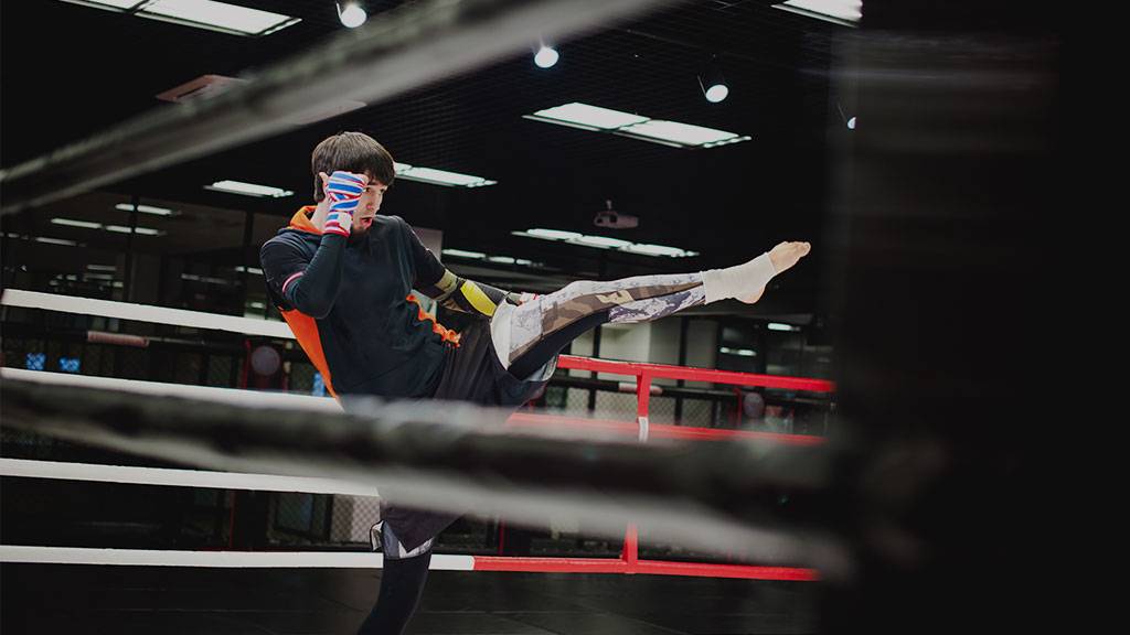 Artes marciales mixtas