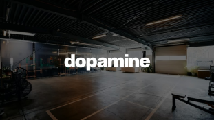 the dopamine studio