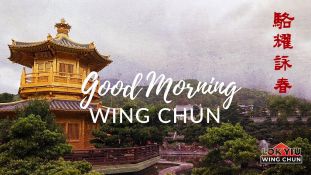 Good Morning Wing Chun