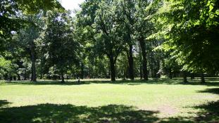 Yoga im Park mit Jolanda