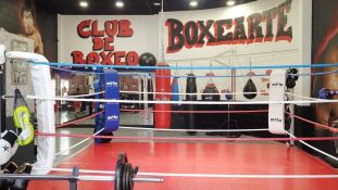Escuela de boxeo Boxearte