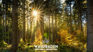 Waldbaden München & Oberbayern im Kreuzlinger Forst