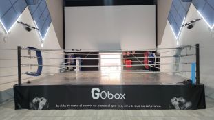 GObox Boxing Las Rozas