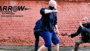 Arrow Systema School