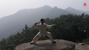 Chen Style Taijiquan Practical Method Kreuzberg