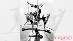 A Pompadourette - Exotic & Fitness Pole Dance