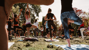 POP UP YOGA @Rosengarten an der Isar