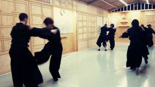 Furyukan Bugei Dojo