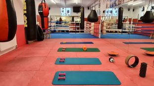 Ring Frei Gym