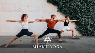 Shaktiyoga