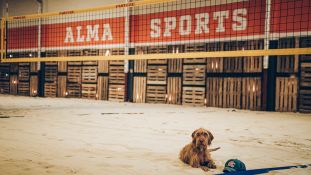 ALMA SPORTS CLUB - Beachvolleyball Indoor