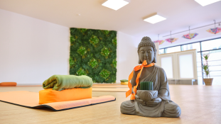 Tripada Yogastudio Tripada Yogastudio