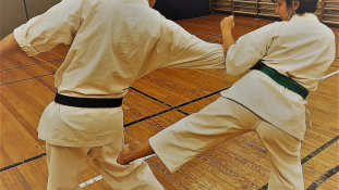  Okinawa Kenju Ryu Toudijutsu Renmei - Karate