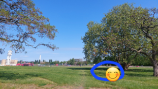 Outdoor in Park : Voice Meditation Outdoor in Park : Voice Meditation