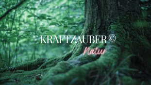 🌳KRAFTZAUBER© Outdoor