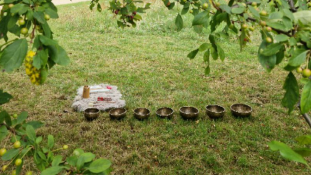 Recordsandbowls @Treptowerpark (Karpfenteich) Recordsandbowls @Treptowerpark (Karpfenteich)