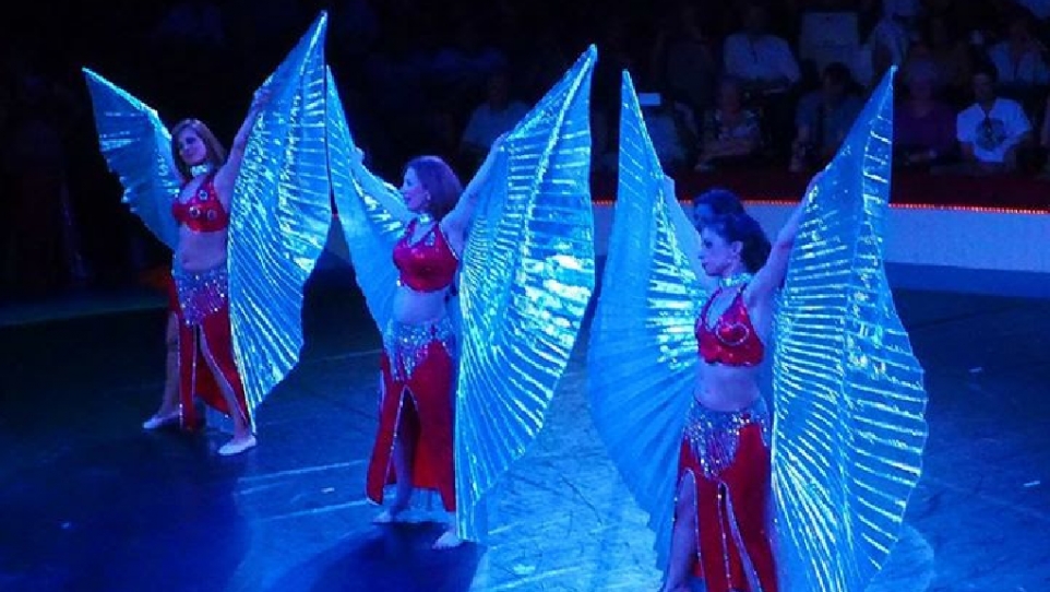 CENTRE DE DANSE DU MARAIS