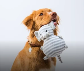 Pet Supplies