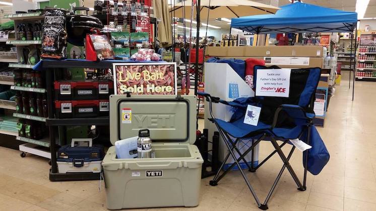 Ziegler Ace 3 746 420