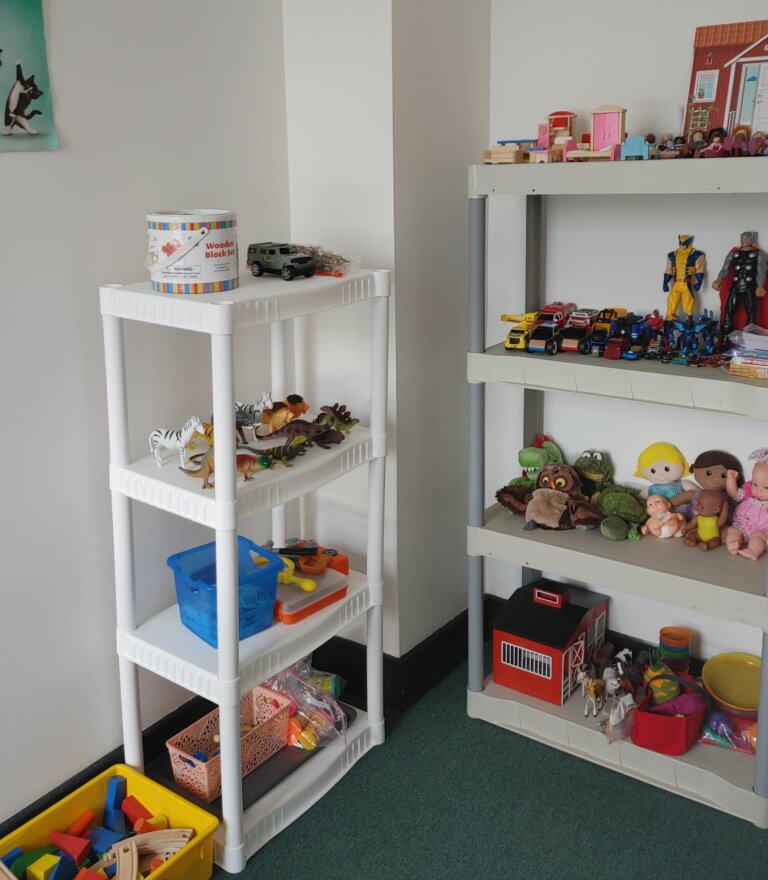 PersonalEnrichmentTherapy toys 768x880