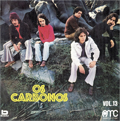 Vol. 13 — Os Carbonos