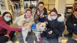 Five University of Michigan students sitting on the floor petting a small dog wearing a blue therapy dog vest