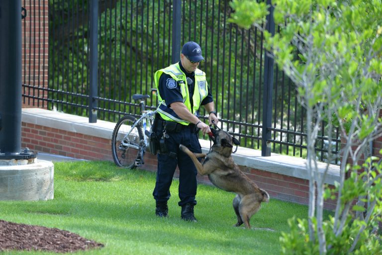 University of Michigan Police Officer Dunny and Tank prep for a search.