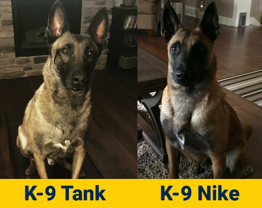 K-9 Tank and Nike