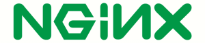 nginx logo