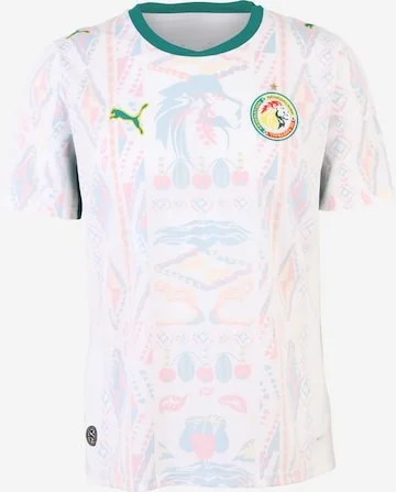Maillot Sénégal