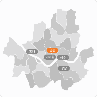 서울 주요 행정구 지도