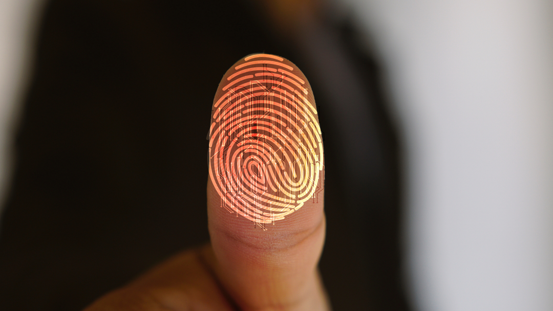 How Does Your Art Reveal Your Identity?