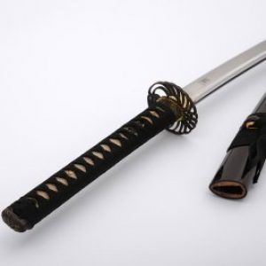 Kraanvogel Katana